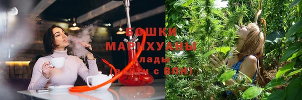 ГАЛЛЮЦИНОГЕННЫЕ ГРИБЫ Надым