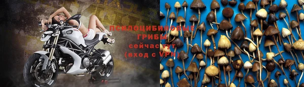 ГАЛЛЮЦИНОГЕННЫЕ ГРИБЫ Надым