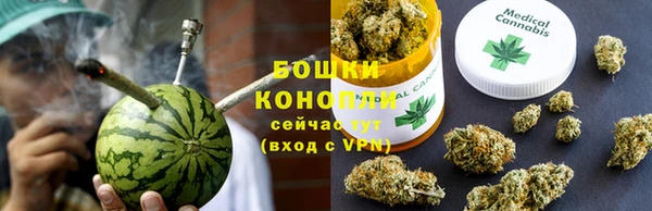 ГАЛЛЮЦИНОГЕННЫЕ ГРИБЫ Надым