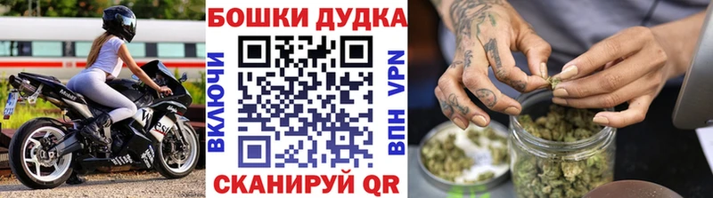 Конопля ГИДРОПОН  сколько стоит  Южно-Сухокумск 